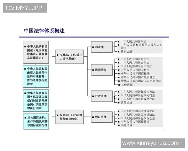 足球明星侵权事件的法律应对与社会责任探讨